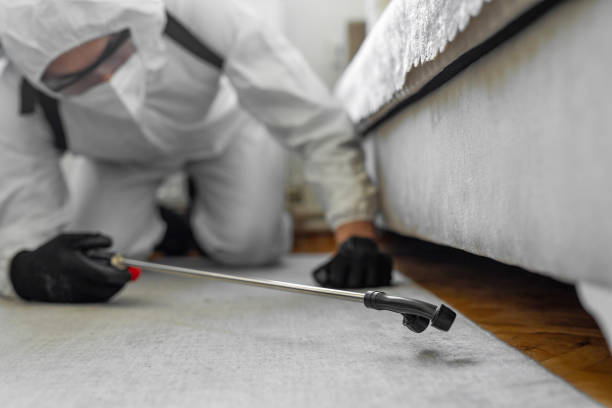 Professional Bed Bug Control technician working in Manitou Beach-Devils Lake, MI